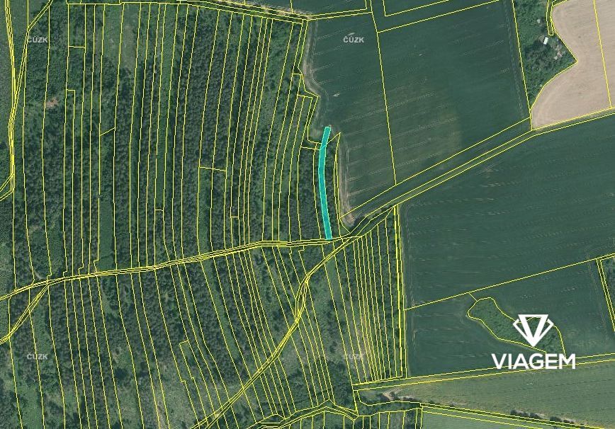 Láka Vás mít svůj vlastní les? Chcete mít 100% vlastnictví b