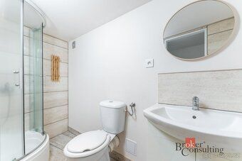 Prodej, byty/4+kk, 170 m2, Zámostecká 26, 50351 Chlumec nad 