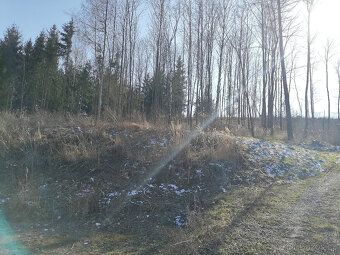 Nabízím pozemek pro komerční výstavbu.Na prodej nebo do pron