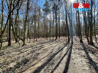 Nabízíme k prodeji rekreační pozemek o výměře 1297 m² v atra