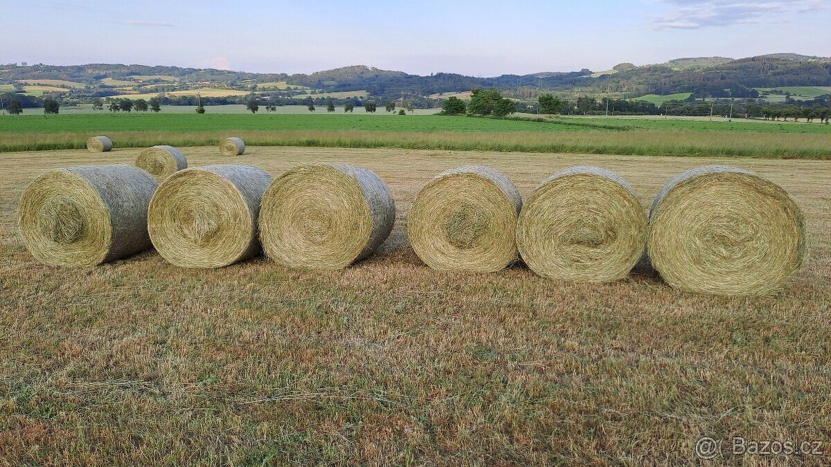 Prodáme zemědělskou půdu / louky / v oblasti Plzeň - Sever /