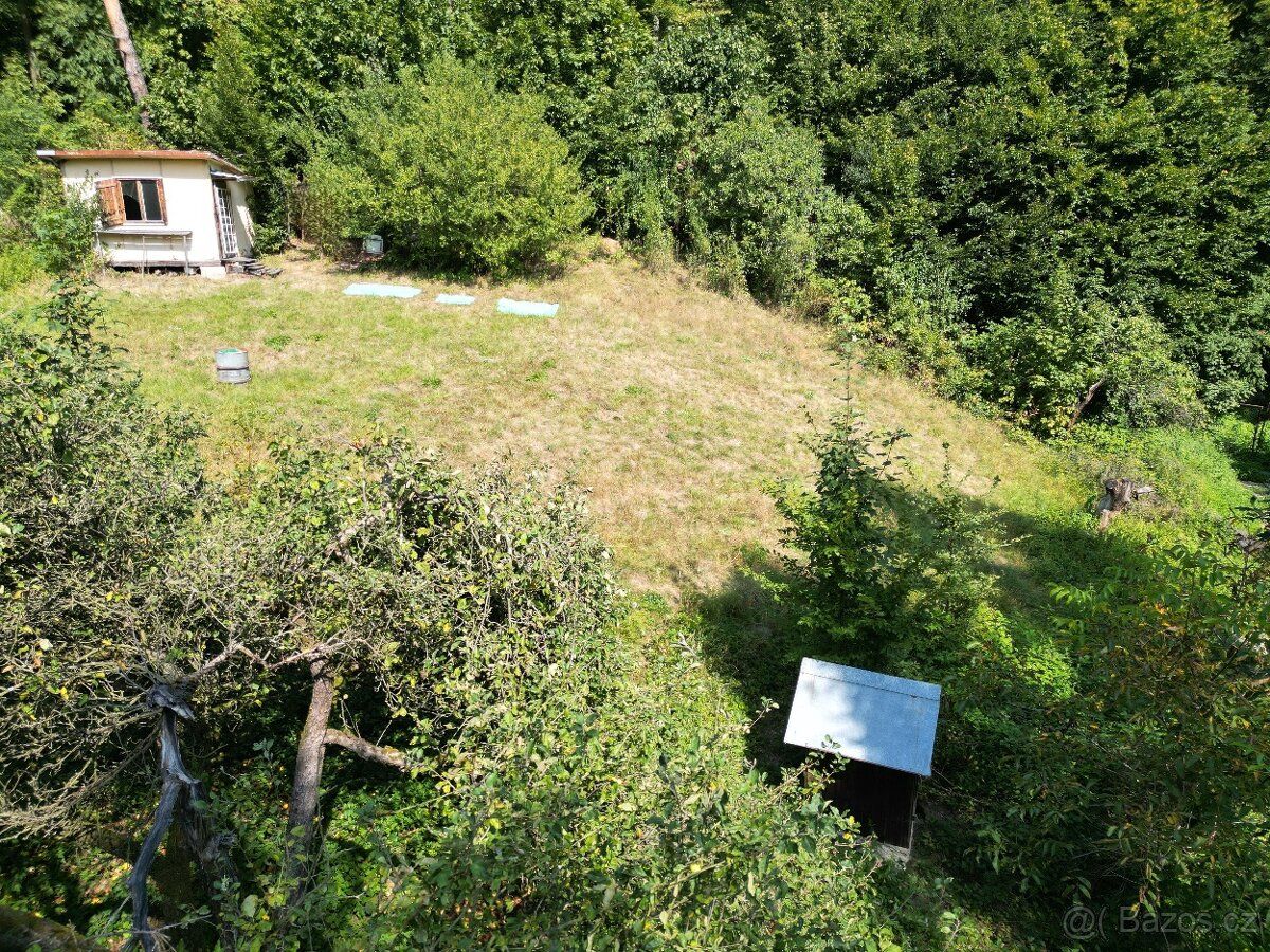 Jednou nohou v lese, druhou nohou ve městě.. A proč ne?
Nabí