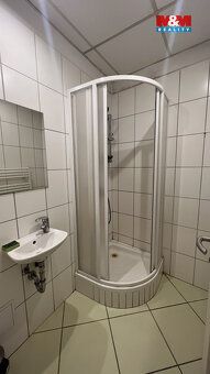 Nabízíme k pronájmu plně vybavený cihlový penzion ve Veselí 