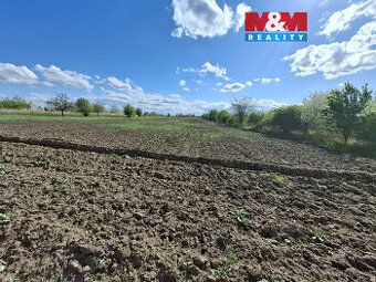 Prodej pozemku, vedený jako ovocný sad 3033 m², BPEJ 00501. 