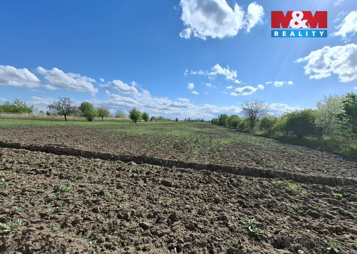 Prodej pozemku, vedený jako ovocný sad 3033 m², BPEJ 00501. 