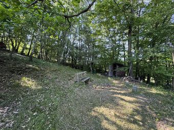 Prodej nebo pronájem zařízeného zahradního domku v lokalitě 