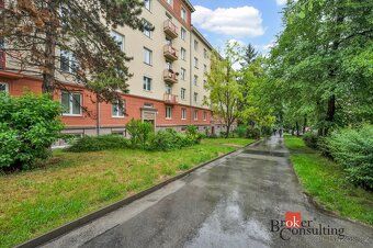 Pronájem, byty/2+1, 49.5 m2, Hrnčířská 190/16, Ponava, 60200