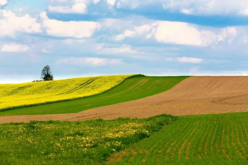 mám zájem o koupi orné půdy/pole - pouze okolí obce VRAŽKOV/