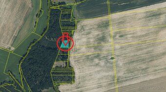 Nabízím k prodeji lesní pozemky v k.ú. Puclice Jedná se o: -
