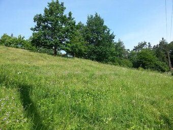 Prodám pozemek č. 733/1 o výměře 3525m2 a pozemek č. 2199 o 
