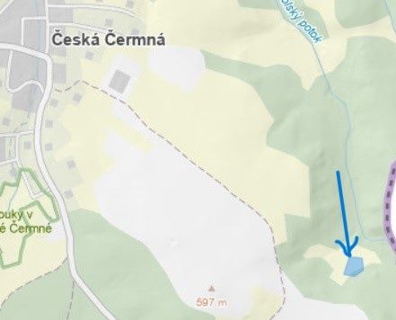 Prodám pozemek č. 733/1 o výměře 3525m2 a pozemek č. 2199 o 