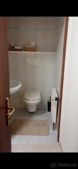 Od 1. 8. nabízím k dlouhodobému pronájmu prostorný byt 2+1 o