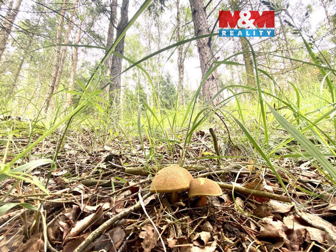 Nabízíme k prodeji lesní pozemek o rozloze 4497 m², situovan
