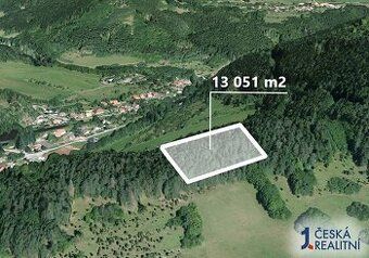 Nabízíme k prodeji lesní pozemek o rozloze 4497 m², situovan