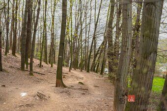 Pronájem, byty/2+kk, 41 m2, Pod lysinami 465/7, Hodkovičky, 