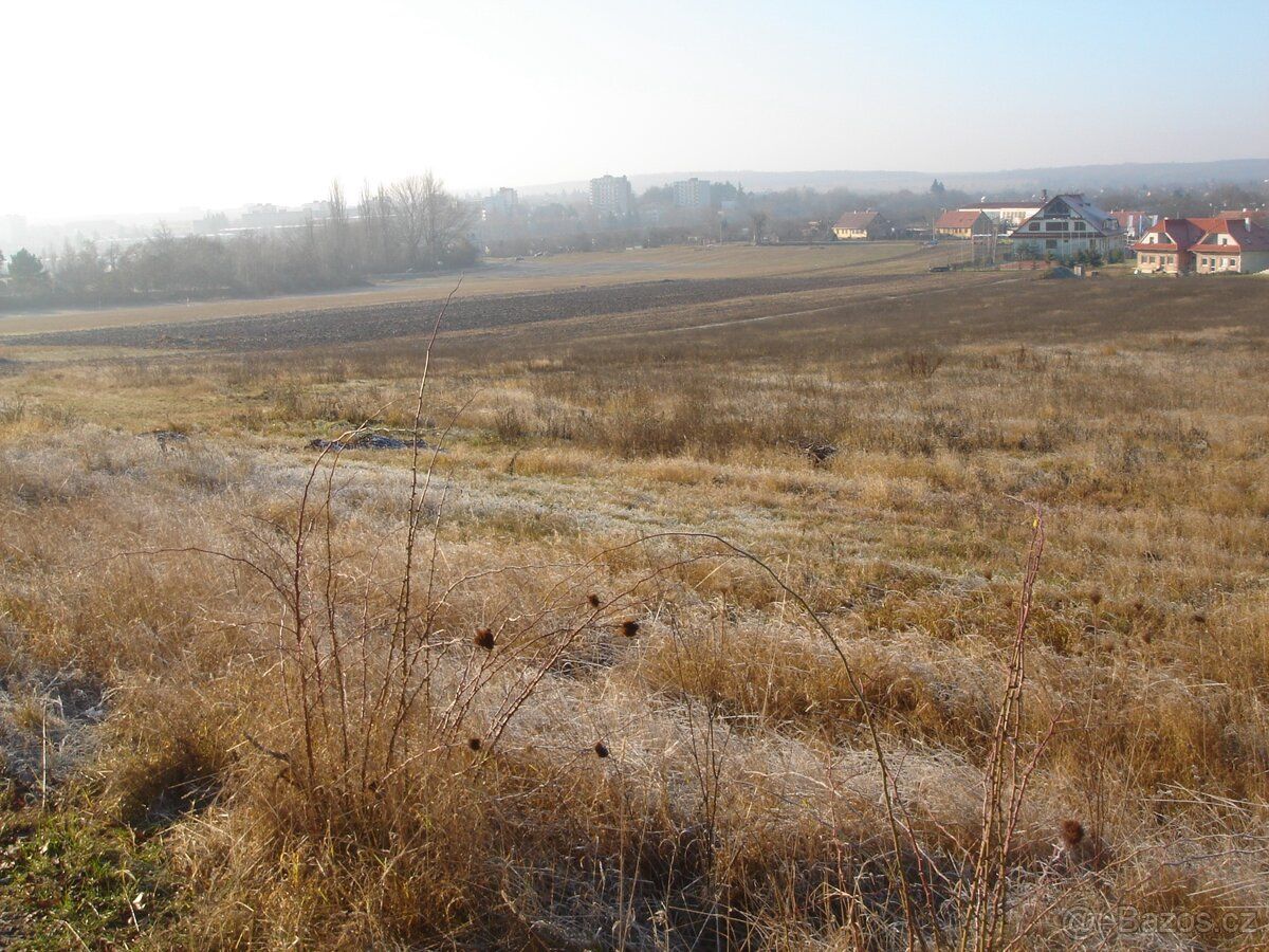 Nabízím k pronájmu na zemědělské využití pozemek, který se n