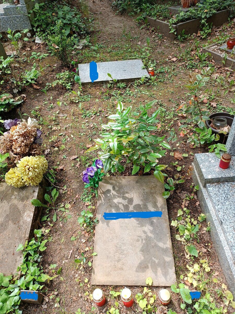 Přenechám pronájem dvou hrobových míst na hřbitově v Praze M