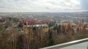 Pronájem bytu 1+1 v družstevním vlastnictví s lodžií, který 