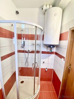 Pronájem bytu 1+1, 46 m²
Nabízím k pronájmu byt o dispozici 