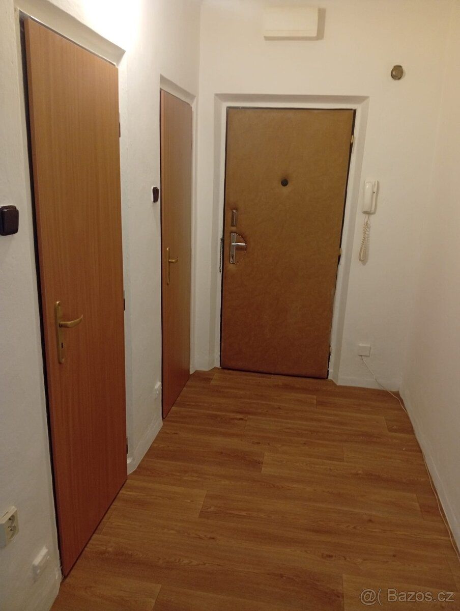 Nabízím k pronájmu přízemní byt 1+1 o výměře 36 m² na adrese