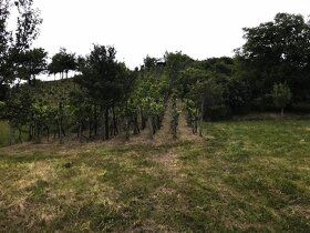 Prodám pozemky v Bzenci. Jedná se o celek 1817m2, složený z 