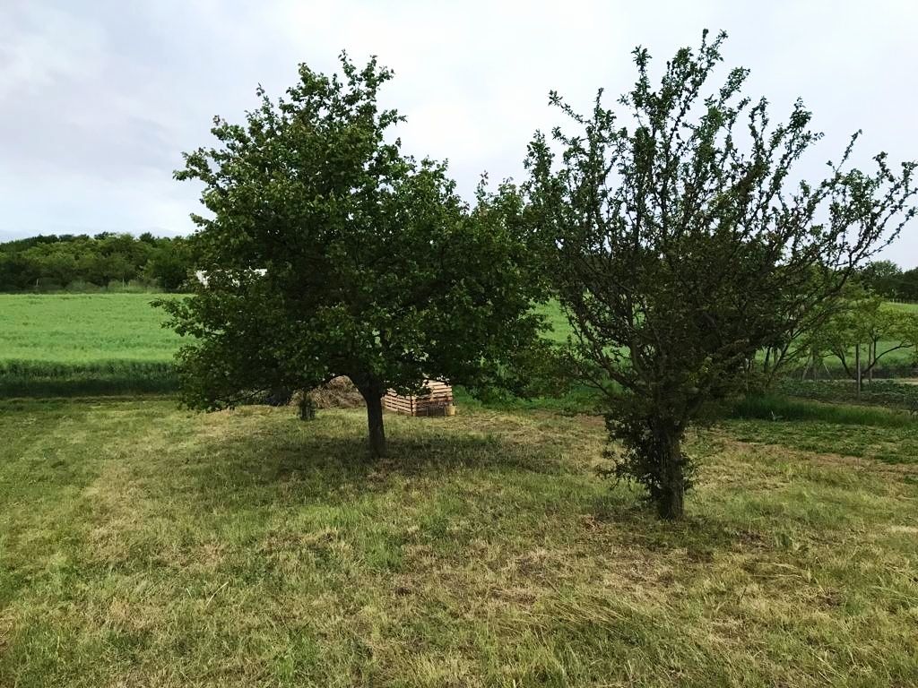 Prodám pozemky v Bzenci. Jedná se o celek 1817m2, složený z 