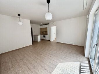 Nabízíme k pronájmu byt 1+KK o velikosti 25 m2 Praha - Hosti