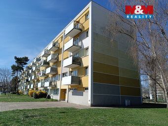 Nabízíme k pronájmu byt 1+kk o výměře 30 m² v panelovém domě