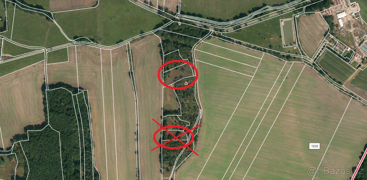 Prodám lesní pozemky k.ú. Skály u Protivína. Jedná se o parc