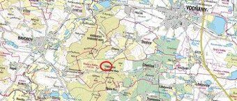 Prodám lesní pozemek u Vodňan v k.ú. Křepice. Jedná se parce