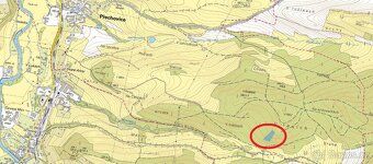 Prodám lesní pozemek v k.ú. Přechovice u Volyně, okres Strak