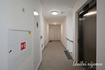 K dlouhodobému podnájmu nabízíme novostavbu bytu o dispozici