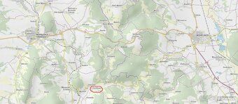 Prodám lesní pozemek v k.ú. Pěčíkov. Jedná se o p.č. 2546 ve