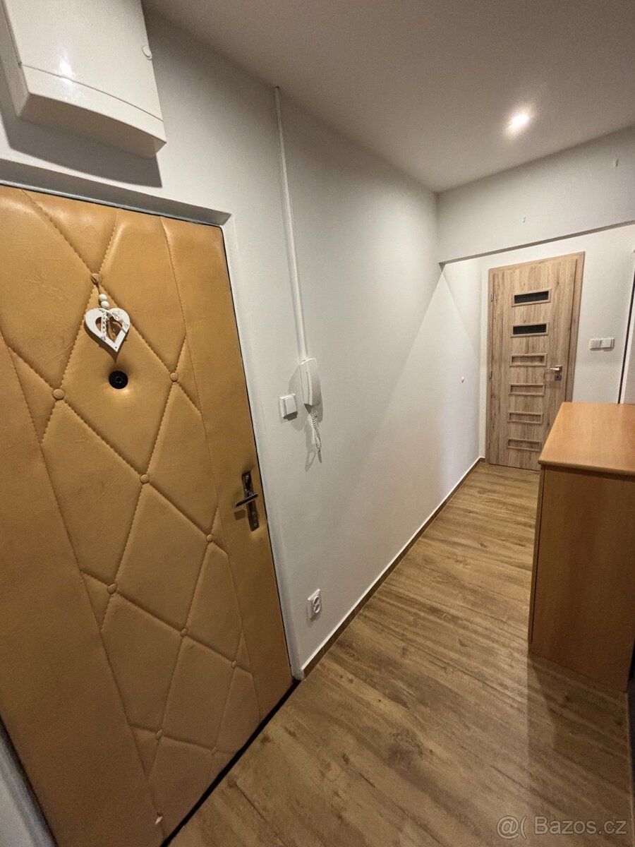 Nabízím k pronájmu světlý byt o dispozici 2+1 a výměře cca 5