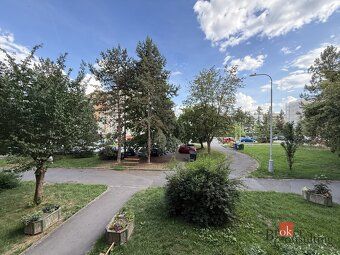 Pronájem, byty/2+1, 59 m2, Elišky Krásnohorské 745/32, 32300