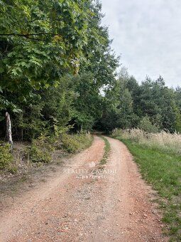 Ev.č. 00898 Nabízíme k prodeji zděnou, patrovou, podsklepeno