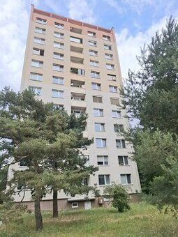 Pronajmu krásný byt okna do zahrady absolutní klid možno vyu