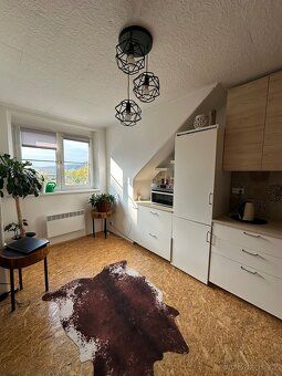 Nabízím k pronájmu světlý a útulný byt o velikosti 48 m² v k