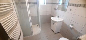 Rádi bychom Vám představili k pronájmu byt 6+1 v RD, s bazén