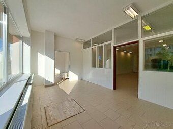 Pronájem nového, velkého bytu 3+1 o 200 m2 v přízemí. Byt se