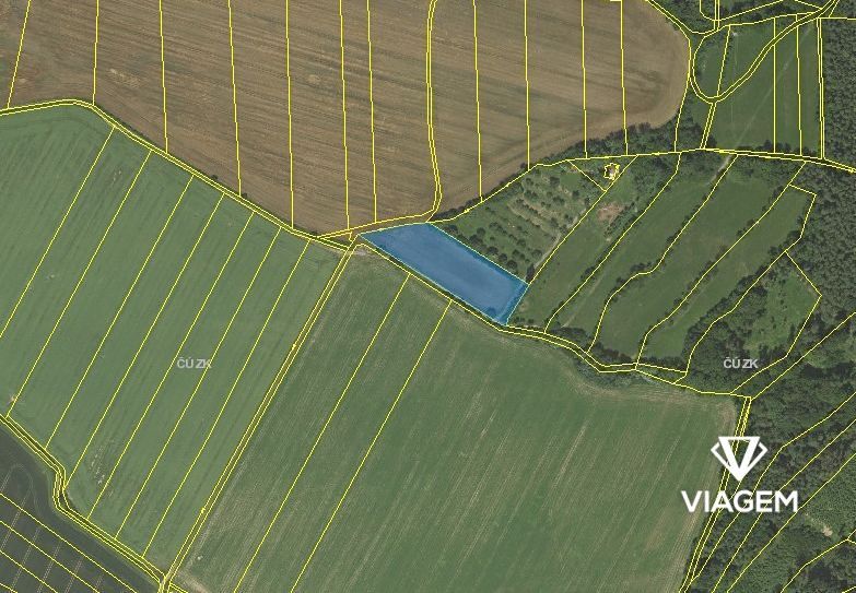 Hledáte ideální investici do budoucnosti? Chcete mít jistotu
