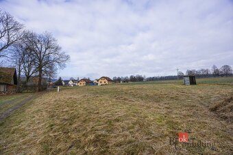Prodej, pozemky/bydlení, 1000 m2, Rybná nad Zdobnicí, Rychno