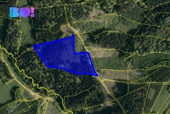 Nabízíme k prodeji lesní pozemky o celkové rozloze 11 283 m²