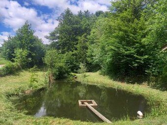 Nabízíme k prodeji lesní pozemky o celkové rozloze 11 283 m²