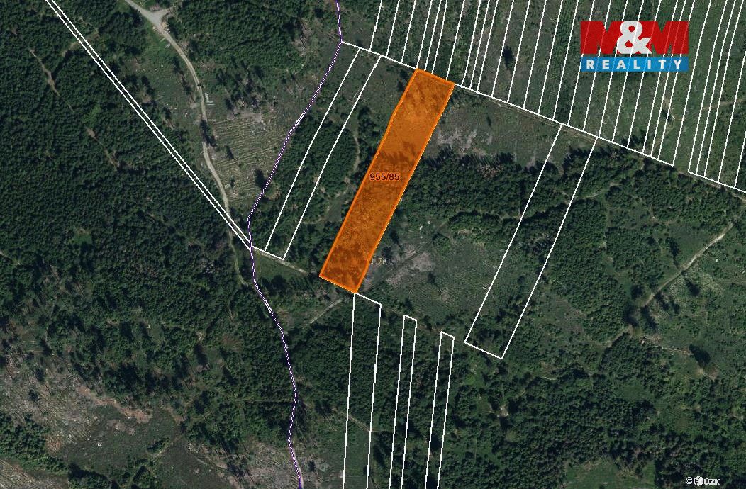 Prodej pozemku o výměře 6092 m2 v katastru obce Nová Hradečn
