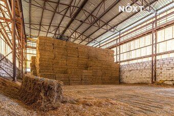 Nabízíme k prodeji rozlehlý areál o celkové výměře 42 888 m²