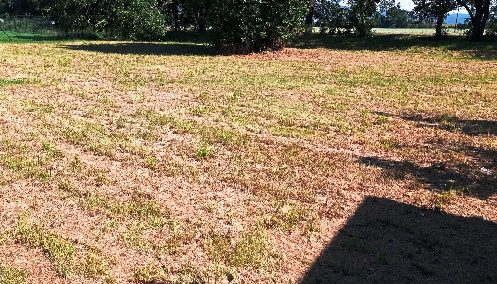 Pozemek 1.200 m2 ze 3/4 oplocen, zahrada, pro stavbu chaty k