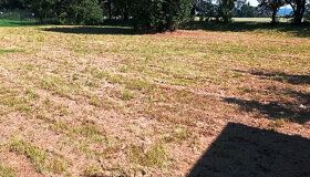 Pozemek 1.200 m2 ze 3/4 oplocen, zahrada, pro stavbu chaty k