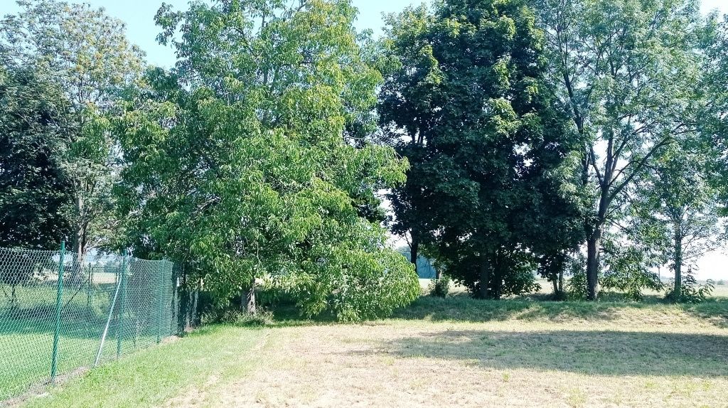 Pozemek 1.200 m2 ze 3/4 oplocen, zahrada, pro stavbu chaty k
