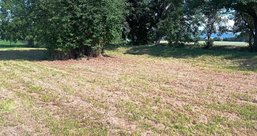 Pozemek 1.200 m2 ze 3/4 oplocen, zahrada, pro stavbu chaty k